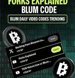 Forks Explained Blum Code: Why It Is Trending On Google
 09-12-2024