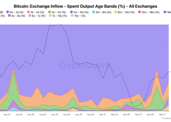Short-Term Holders Account for 92% of Bitcoin Exchange Inflows
