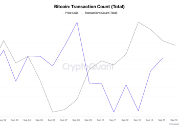 Bitcoin Transactions Drop More Than 50% in Just One Week