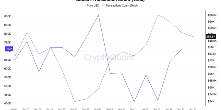 Bitcoin Transactions Drop More Than 50% in Just One Week