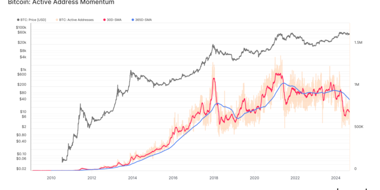 Bitcoin Active Address Momentum Slows, Mirroring Post-Peak Declines of 2018 and 2021