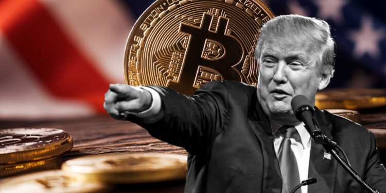 Crypto Custody Market Poised for Growth if Trump Secures Victory