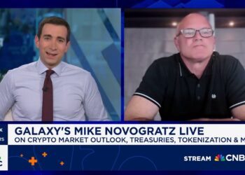 Galaxy CEO Mike Novogratz: Bitcoin Could See Another Big Surge Towards the End of the Year