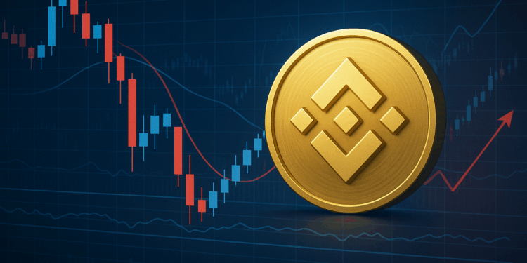 BNB Price Fights to Maintain $900 Support as Whales Seek Accumulation Amid Market Turmoil