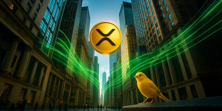 Recording $36M Volume on Debut, Challenges BSOL Record