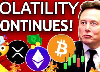 Bitcoin Dumps on China Ban, Tether, & MicroStrategy FUD Elon Bullish on BTC!