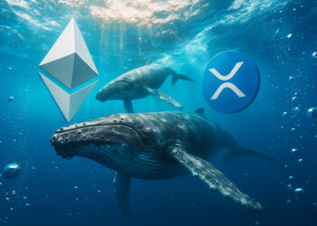 While Ethereum Whales Rotate, XRP Data Reveals a Critical Concentration Flaw That Leaves One Group Holding the Bag