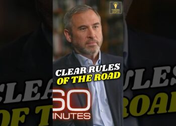 RIPPLE CEO BRAD GARLINGHOUSE Reveals Crypto Regulation Secrets