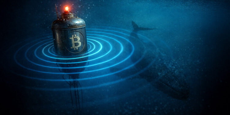 Bitfinex Whale Buy Signals Bitcoin Price Battleground at $90,000