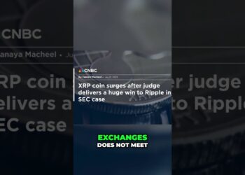 Ripple SEC Lawsuit Update: SEC Appeals Court Ruling crypto sec ripple