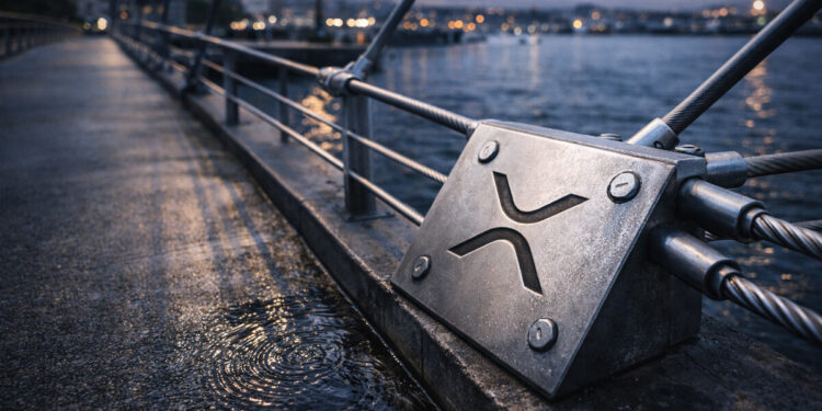 Understanding XRP Network Health in 2026
Without the Counting Noise