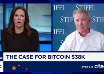 Bitcoin is not digital gold and behaves like a speculative financial instrument: Stifel’s Bannister