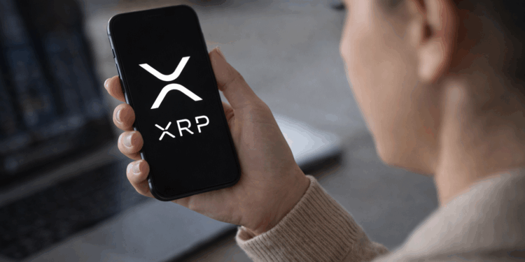 XRP Price Outlook: Ripple CEO Predicts Strong Year Ahead