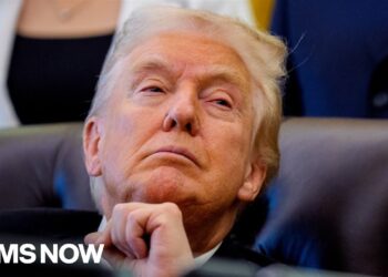 UAE Tied-Firm Signed $500M Deal with Trump Crypto Four Days Before President Took Office: WSJ