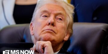 UAE Tied-Firm Signed $500M Deal with Trump Crypto Four Days Before President Took Office: WSJ